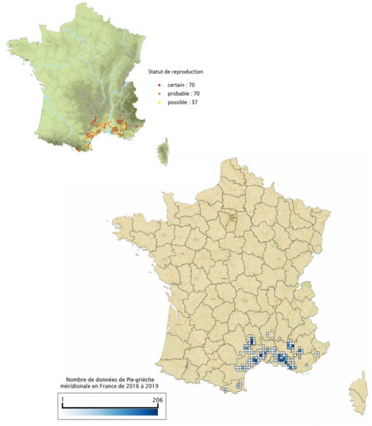 Répartition de la Pie-grièche méridionale en France sur la période 2005-2012 (Issa & Muller, 2012) et 2016-2019 (Faune France et INPN)